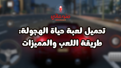 تحميل لعبة حياة الهجولة: طريقة اللعب والمميزات