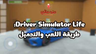 Driver Simulator Life: طريقة اللعب والتحميل